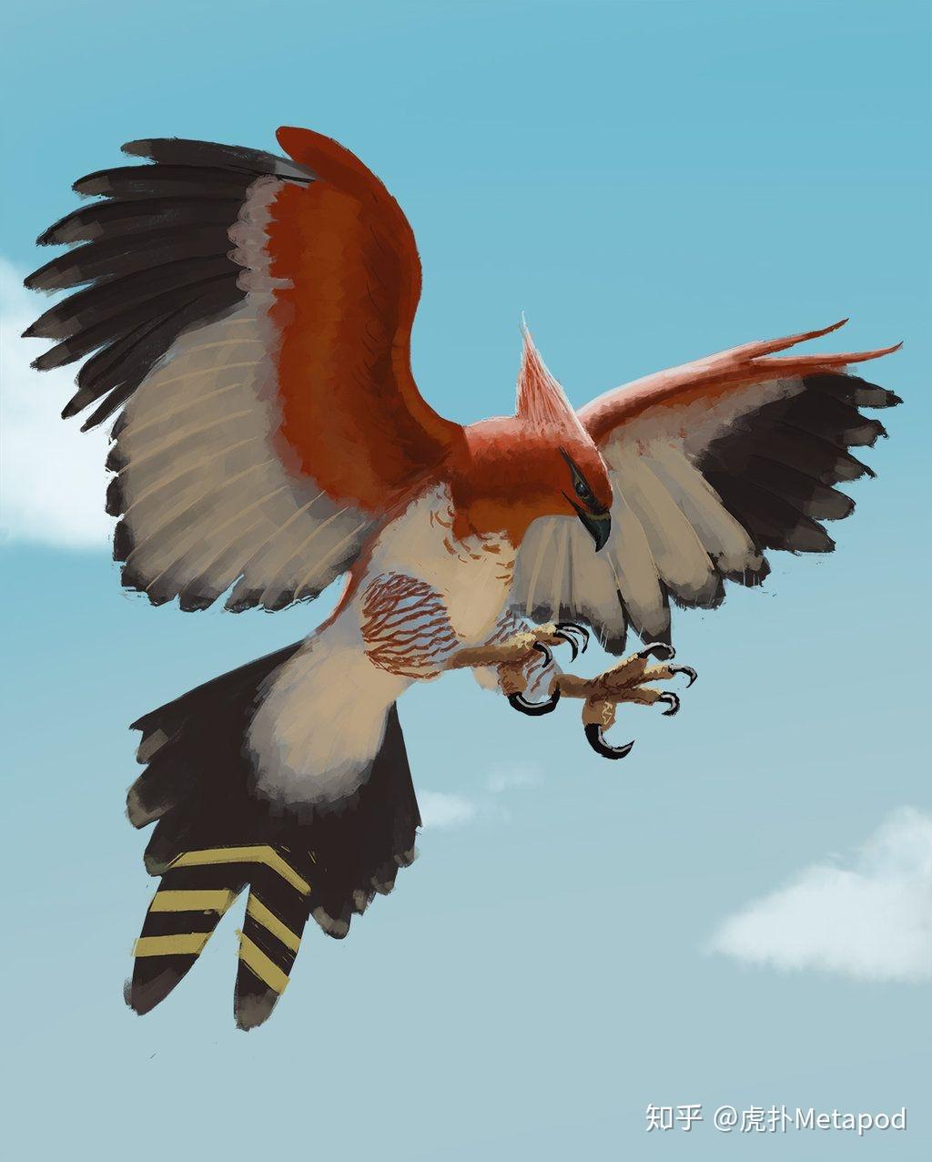 《宝可梦:剑/盾》dlc新增教授招式分析(十五)双翼(十六)爬击(十七)灵