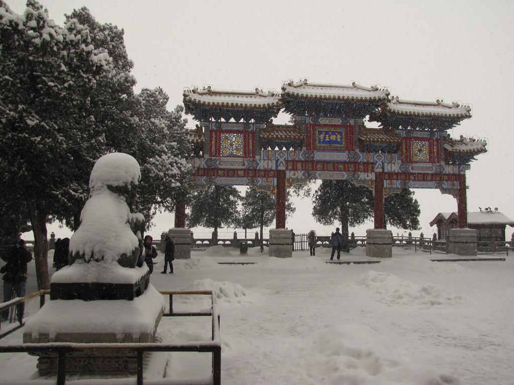 一场雪爱上一座城：2014年的北京雪景_大师作品-蜂鸟网