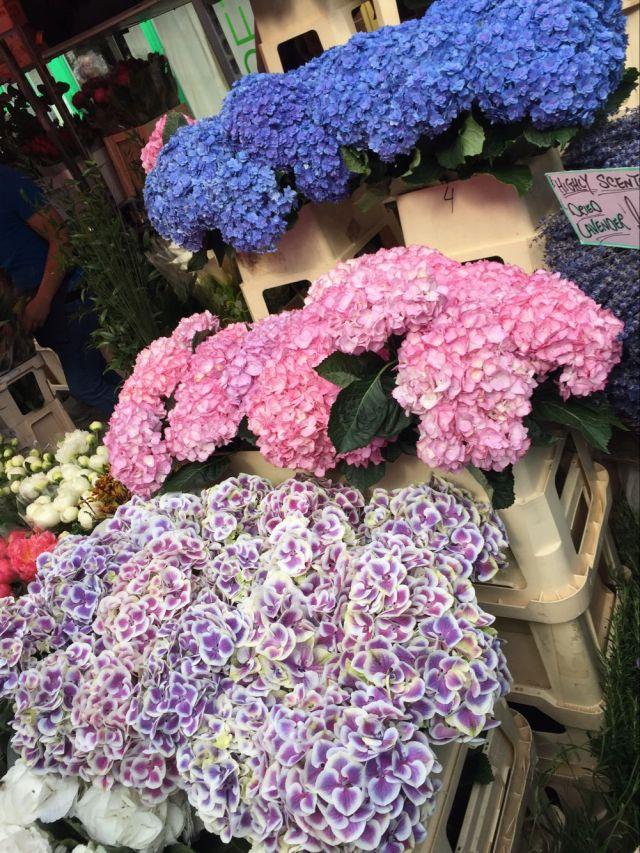 columbiaroadflowermarket伦敦最美的花市