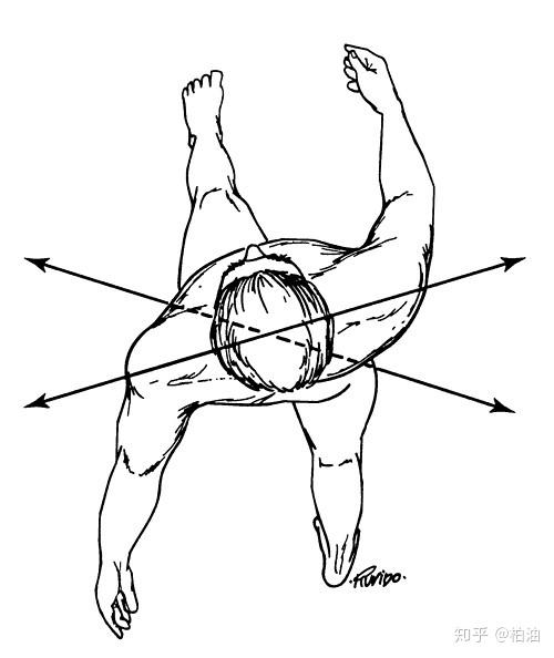 骨盆和股骨通过髋关节连接,和脊椎通过骶髂关节连接,这两个关节都有多