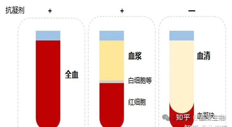 【五分钟讲实验】生化检测采样准备、送检细节及结果异常分析! - 知乎