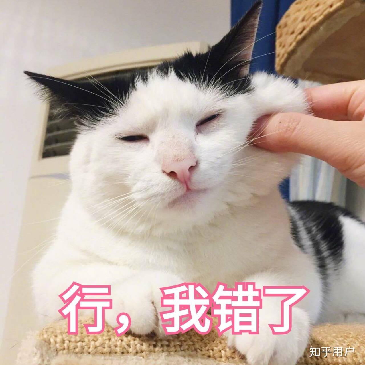 有哪些可以哄女朋友的表情包?