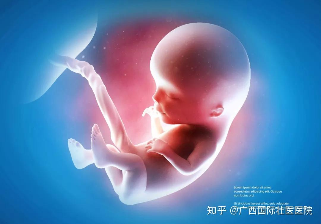 做到这些可以防止胎停育 - 知乎