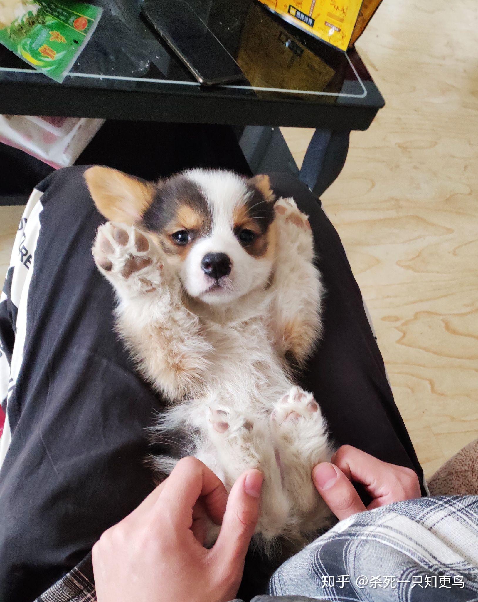 v2-7d1b3624d11e3bb699429160f38f3f46_r.jpg