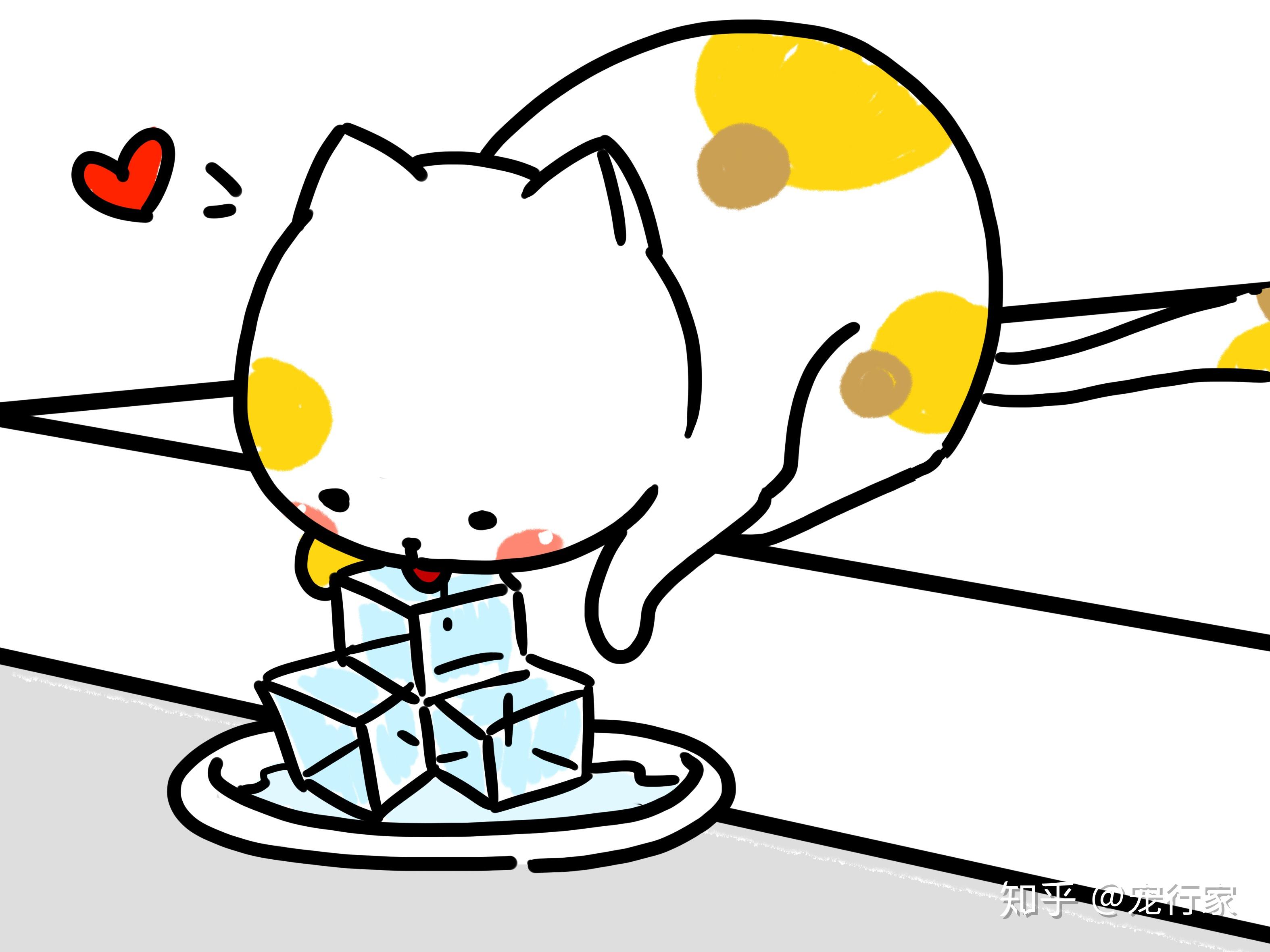 你需要做的事:除了尽可能鼓励你家猫多喝水外,你应该做的第一件事情是