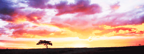 GIF 动态图(5) 自然风景:树木、草叶【多图欣赏】 - 知乎