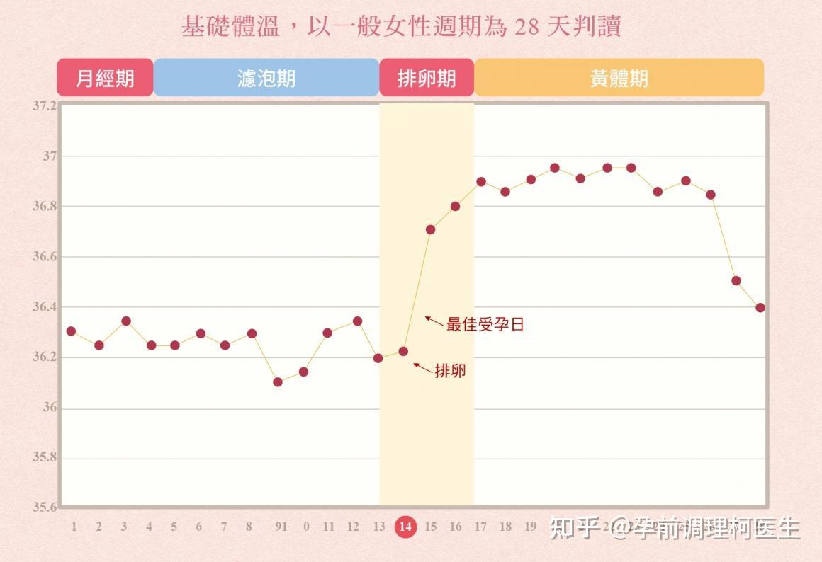 康康好孕排卵期怎么算排卵期的计算方法