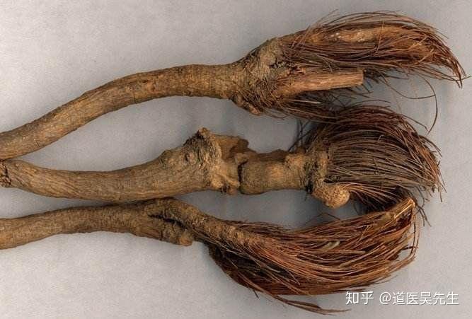 止遗溺,热气疮痒如麻豆,可作浴汤.久服轻身,益气,耳目聪明,不老延年.