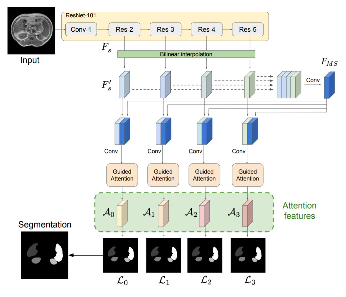 medical image segmentation - 醫學影像分割