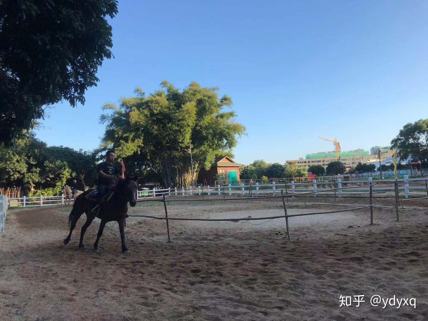 珠海骑马/珠海马场/珠海英格马术俱乐部