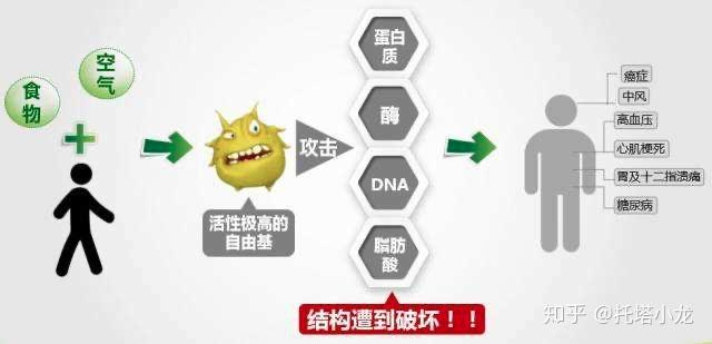 v2-7d63ce335adf6174f6166d3c7934e71a_r.jpg