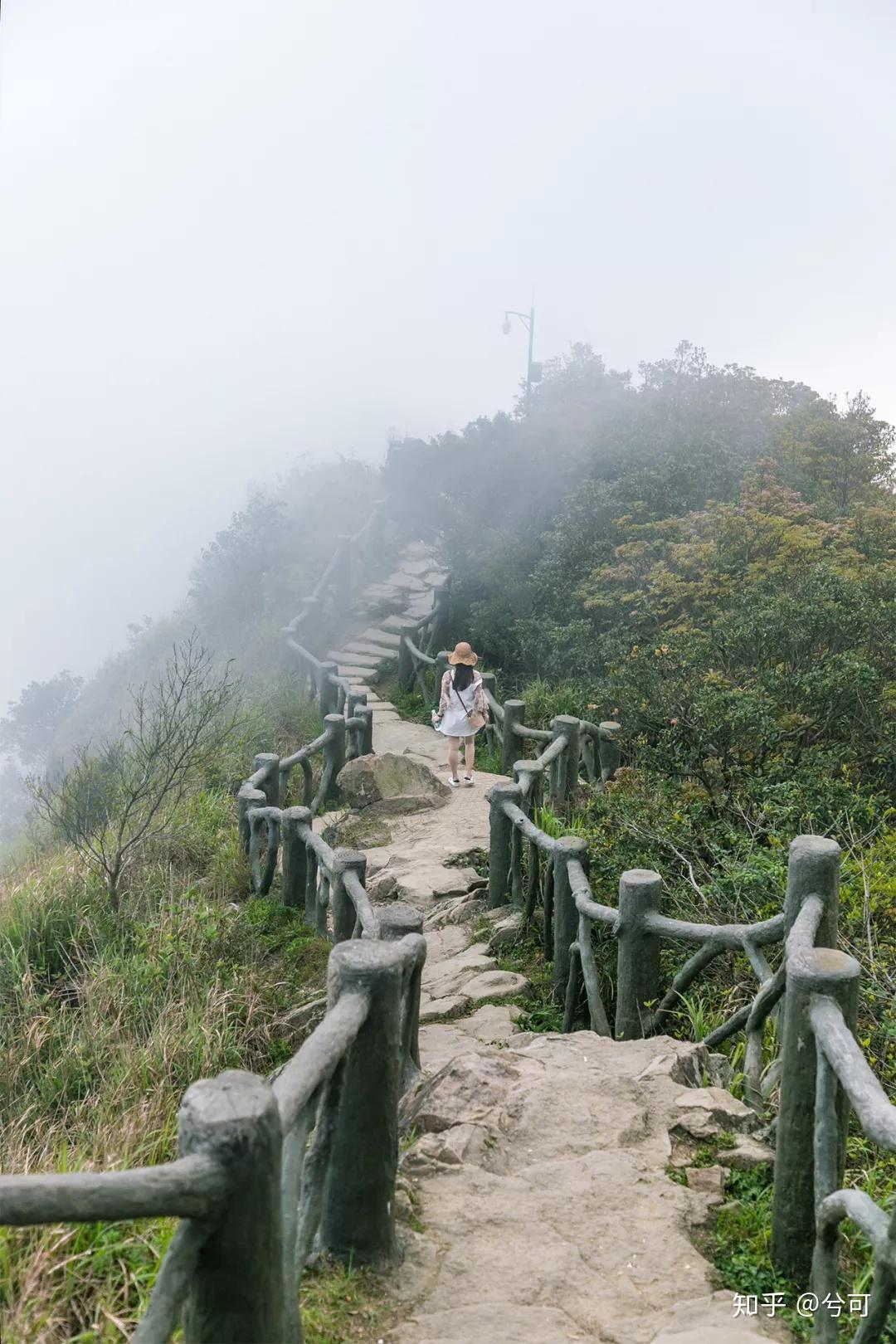 2021羊台山森林公园-旅游攻略-门票-地址-问答-游记点评，深圳旅游旅游景点推荐-去哪儿攻略