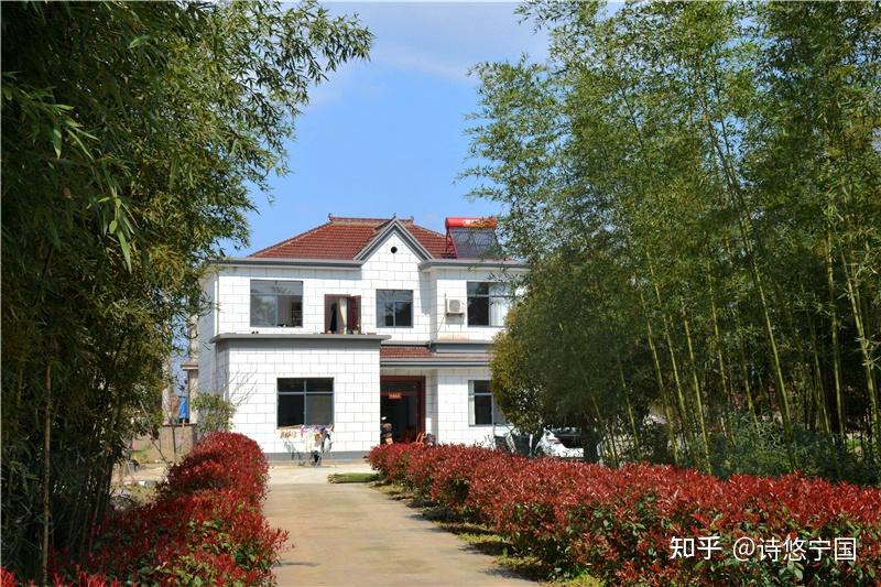 赵村的十里春风