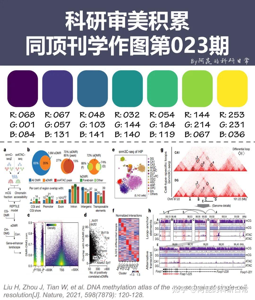 科研作图最佳配色图片