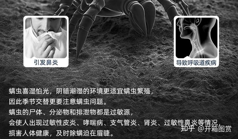 除螨仪是什么?床上的螨虫怎么样彻底清除掉?除螨仪有用吗?2026十大公认好用的除螨仪推荐!你选对了吗?