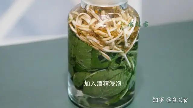薄荷季呀自制薄荷花露水