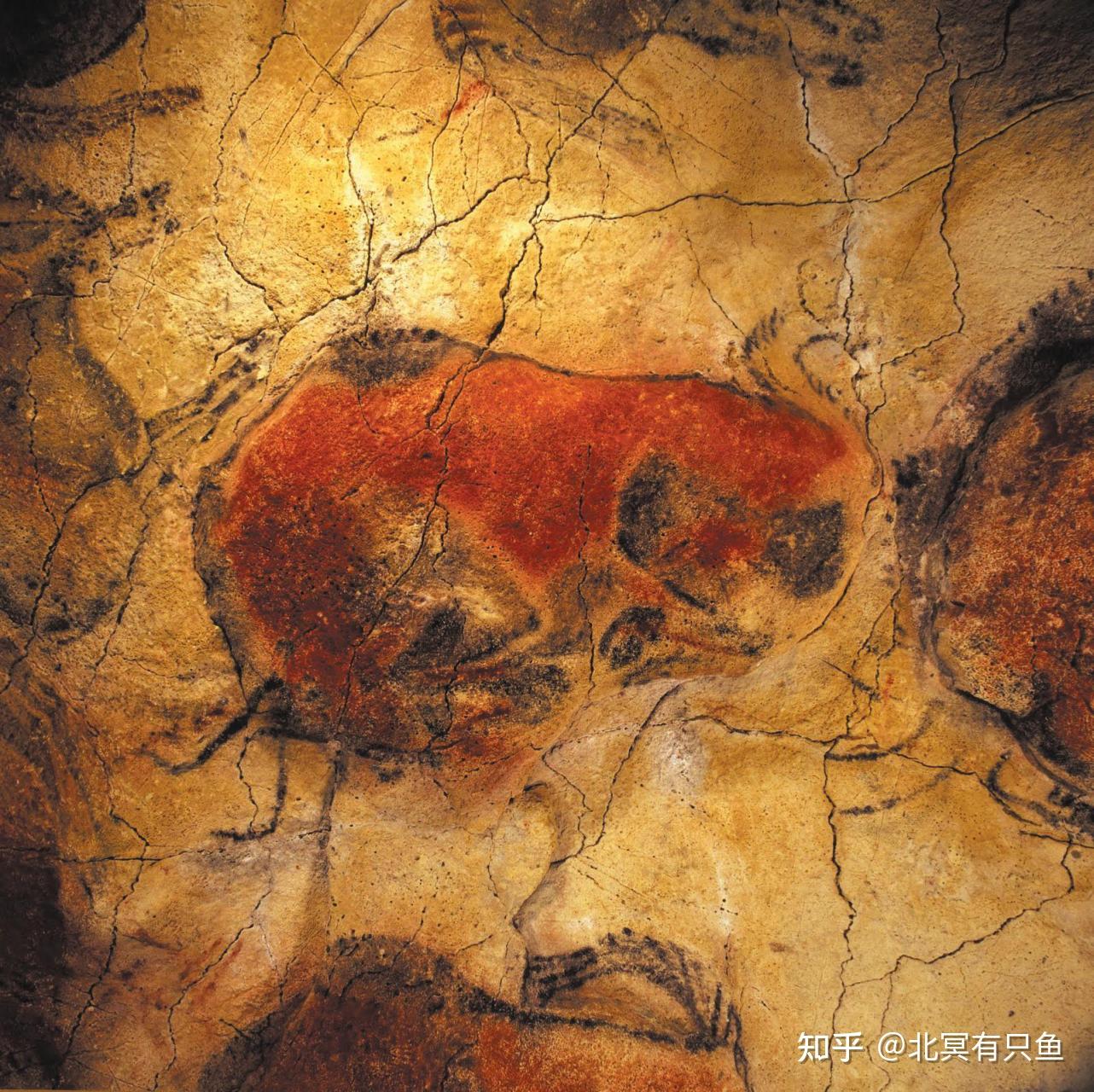 画里有话001·史前壁画《野牛图》 - 知乎