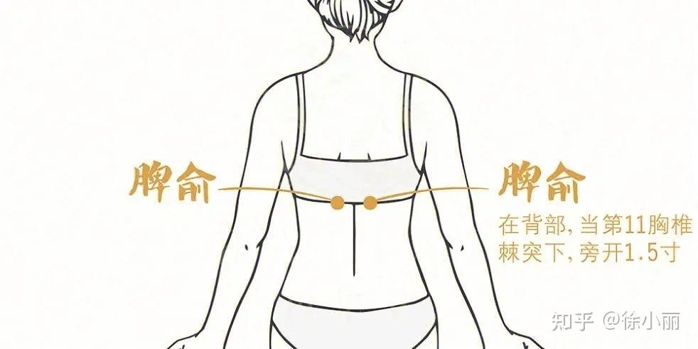 针灸减肥原理与注意事项 - 知乎