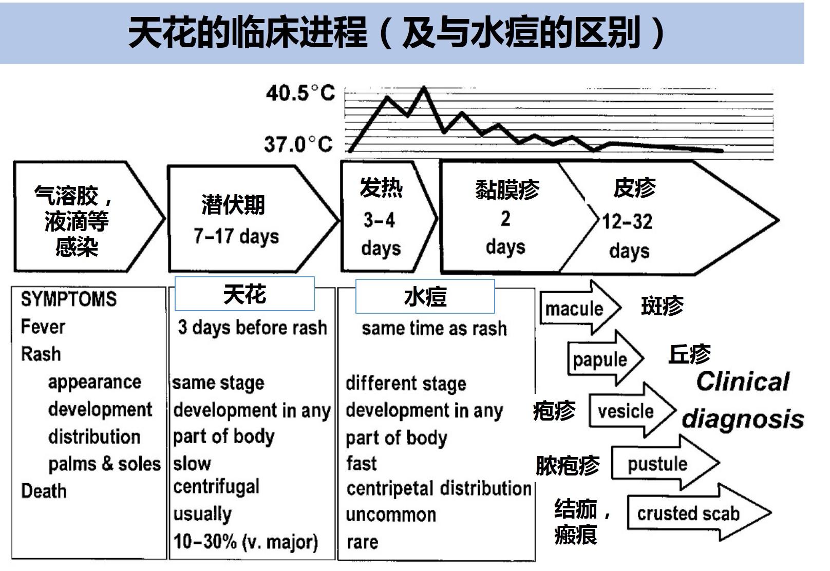 天花病毒形态结构图片