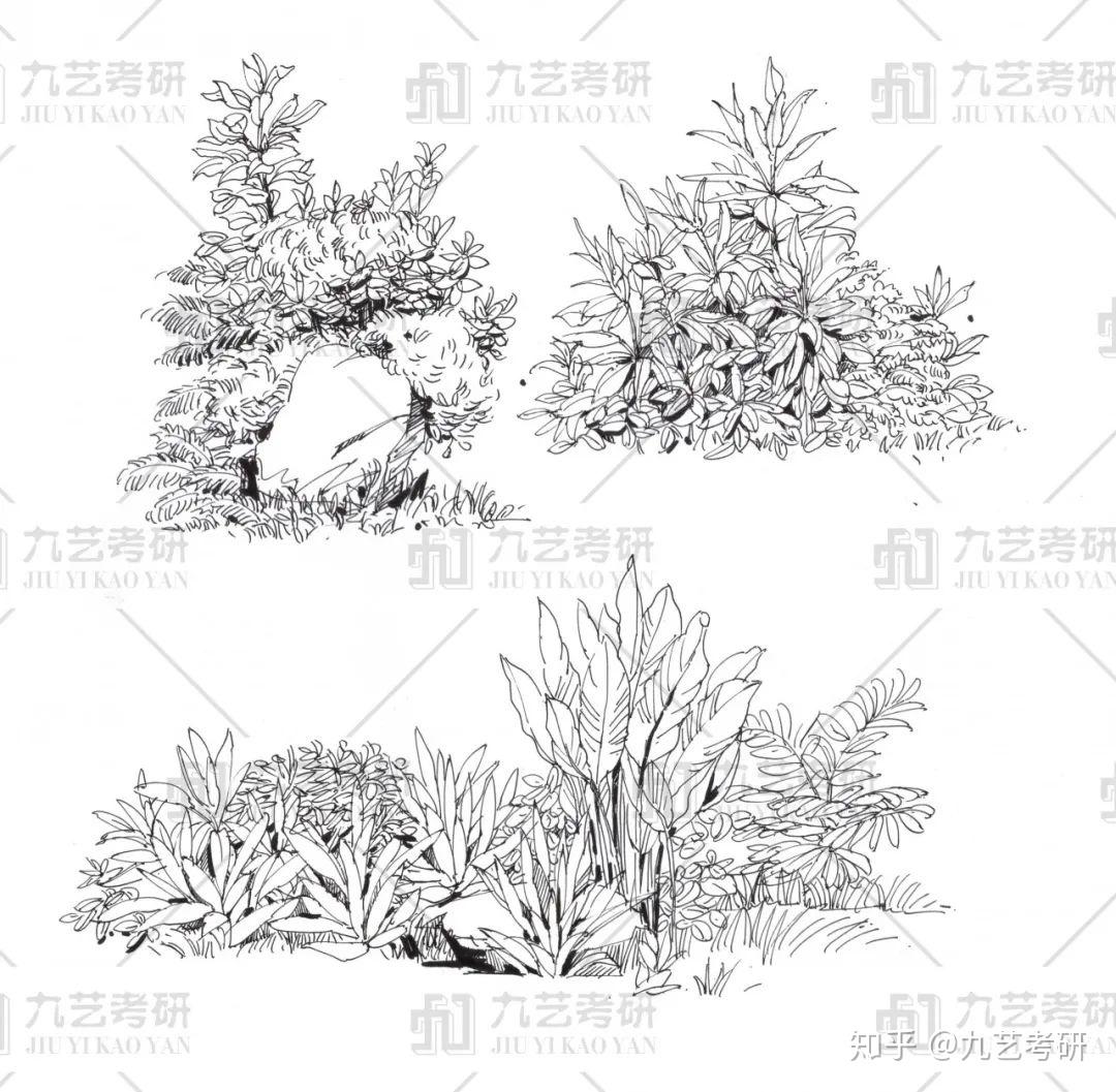 「环艺景观篇i」景观植物手绘基础&手绘线条