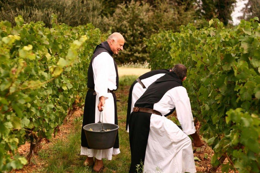 还大多数40度? - 知乎