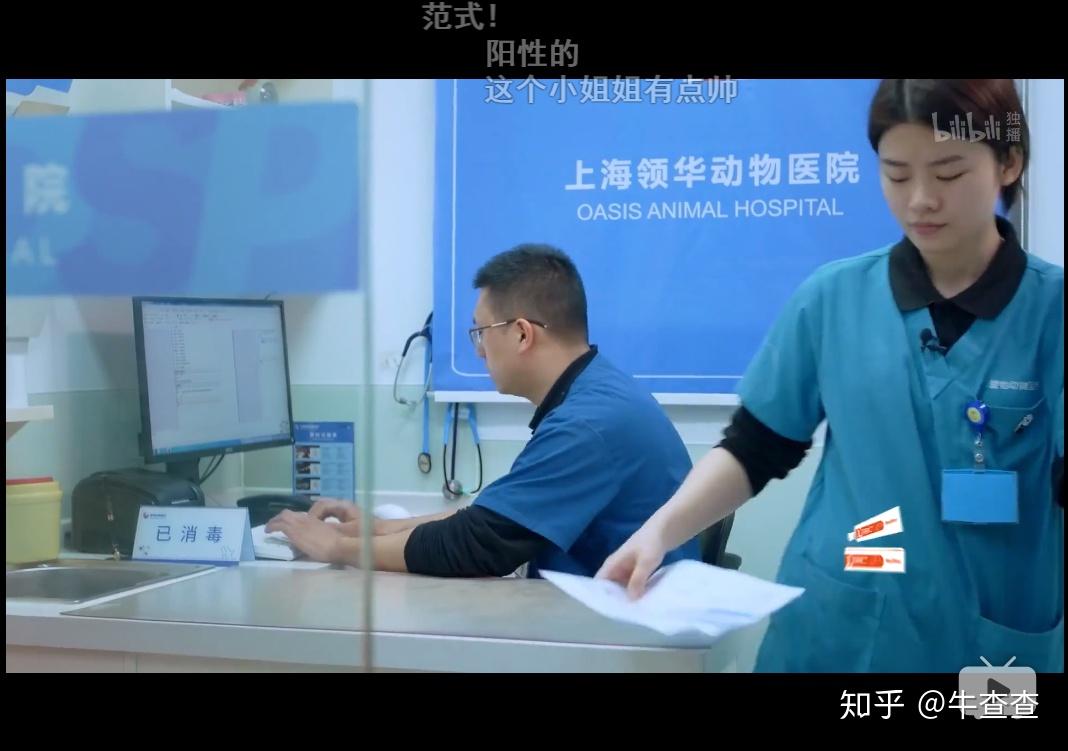 如何评价哔哩哔哩纪录片《宠物医院》?