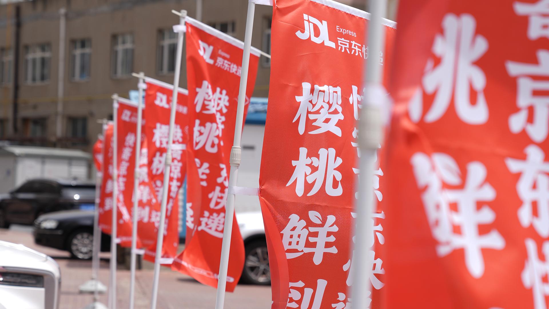 2024大连金普新区大樱桃品牌与特色文化旅游节暨京东快递大连樱桃产地