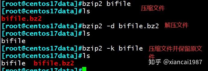 如何深入理解Linux压缩工具的源码实现？