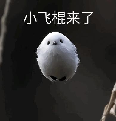 表情包:北长尾山雀版本小飞棍来了.