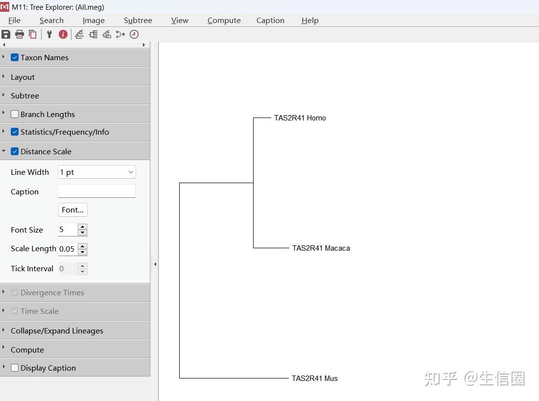 基因序列到进化树：轻松掌握多物种DNA序列比对与进化分析 - 知乎