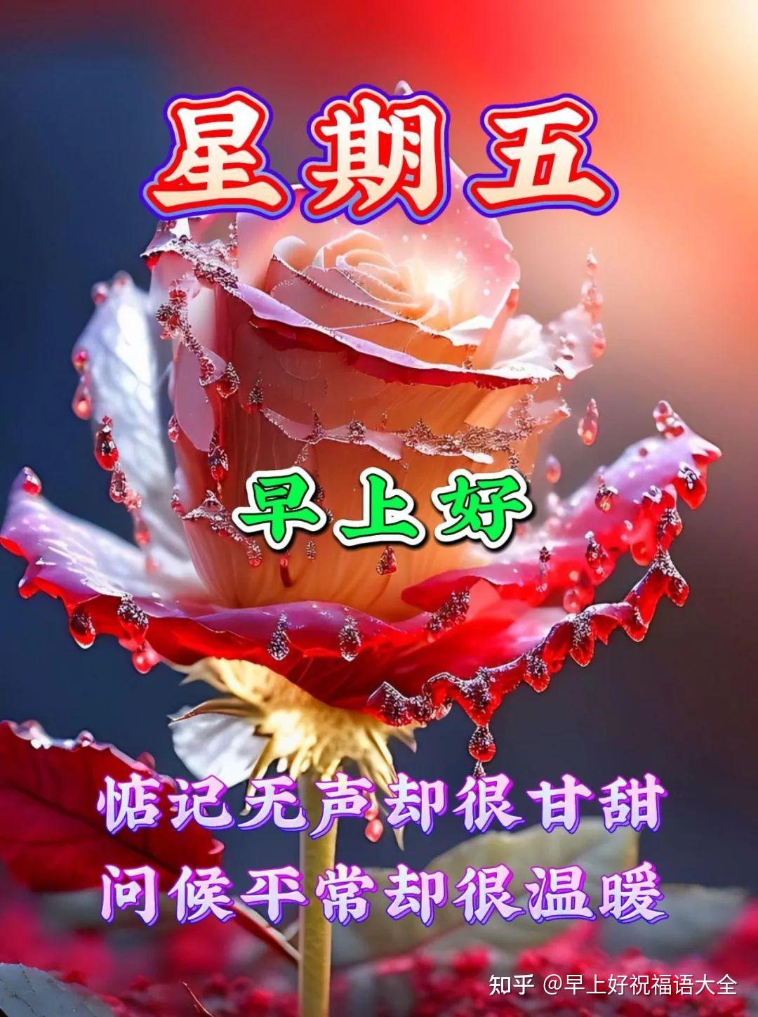 5月5日周五早上好,星期五暖心祝福语图片 - 知乎