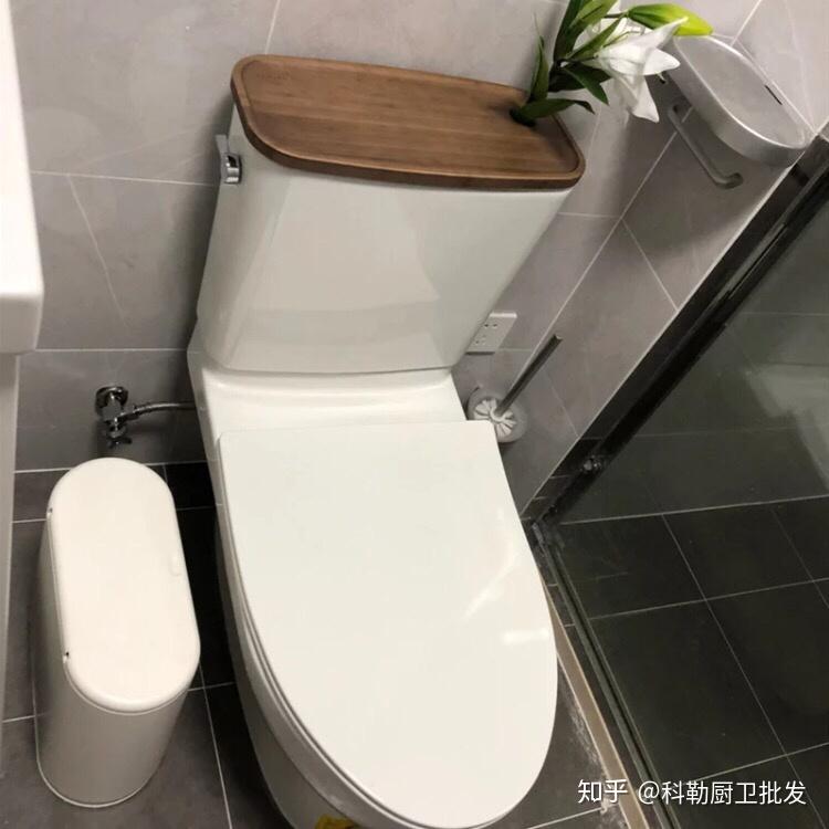 科勒坐便器一款高颜值能养花的马桶
