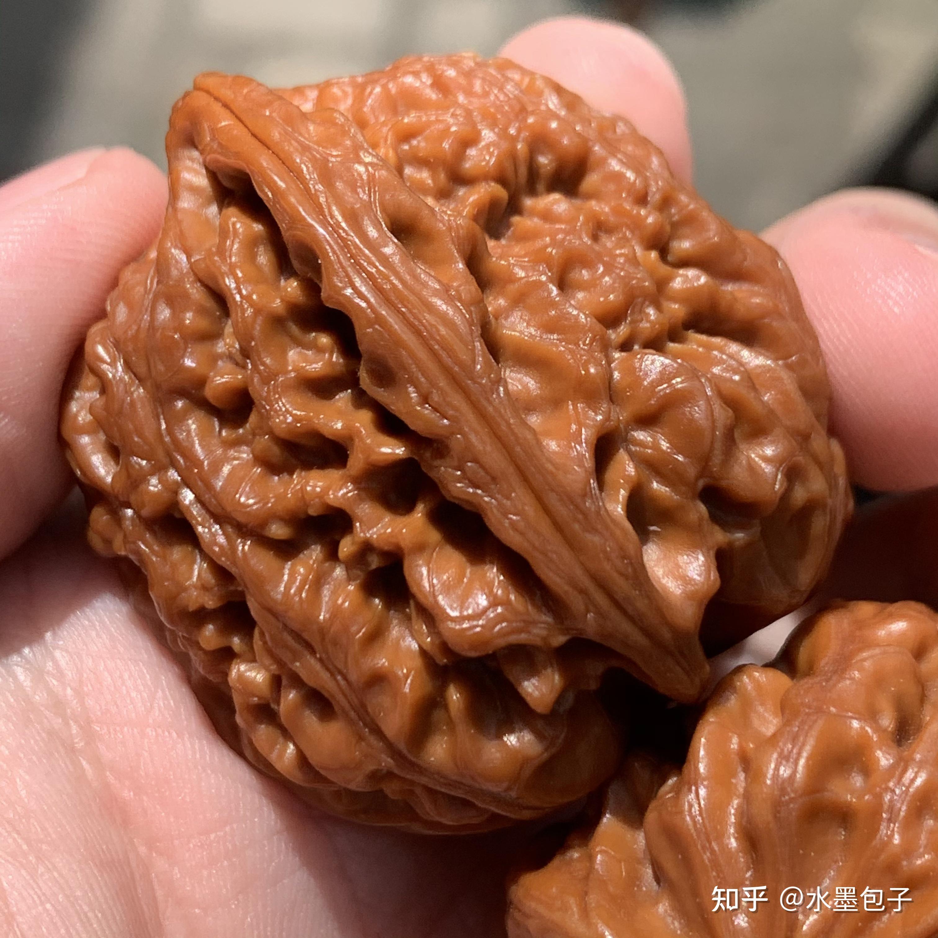 品种专辑二 西北将军膀