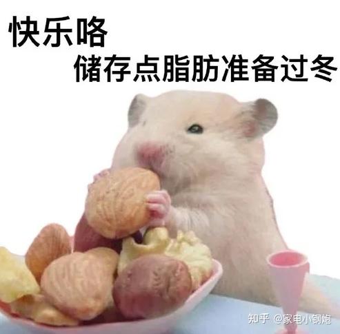 囤囤鼠、大家庭囤货福音!华凌神机618,不到四千就能入手的大容量、双系统超薄零嵌冰箱!