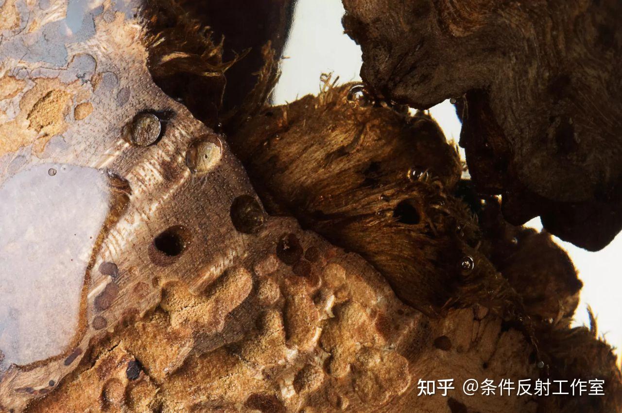 Oddity 香水，品牌哲学与视觉哲学的完美融合  - 知乎