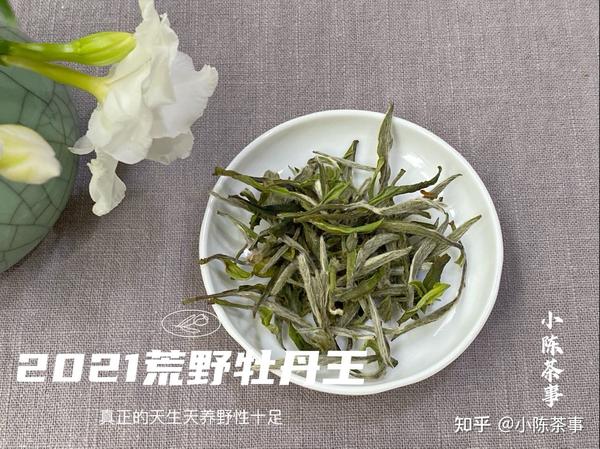 帮茶友鉴白茶,李麻花一看到图片就笑了,这也能叫牡丹王?