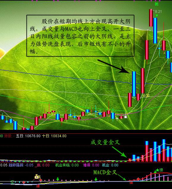庄家的命门 二 大阴线 知乎