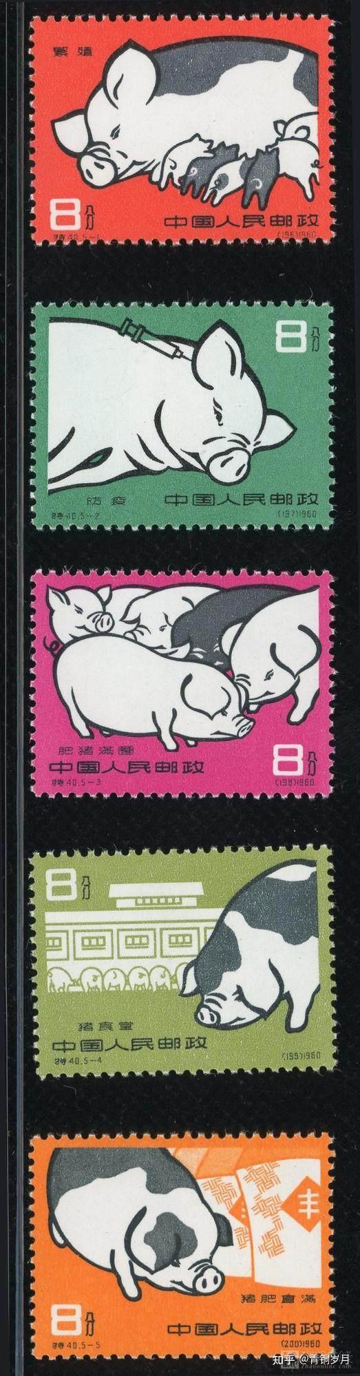 五头猪卖一万?】23年7月19日 老纪特最新成交价格交易行情 - 知乎