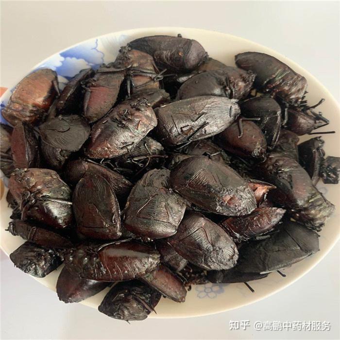 九香虫野生资源分布广泛,主产于湖南,四川,贵州,云南等地,年需求量在