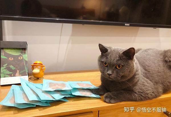 21年猫零食推荐 健康美味还不贵的猫零食推荐 618打折活动猫零食推荐 持续更新中 知乎