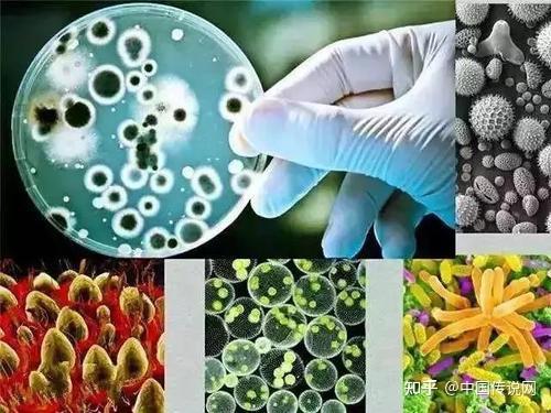 中农万疆土壤微生物菌群有何作用系列2