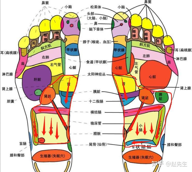 肺癌按摩位置图图片