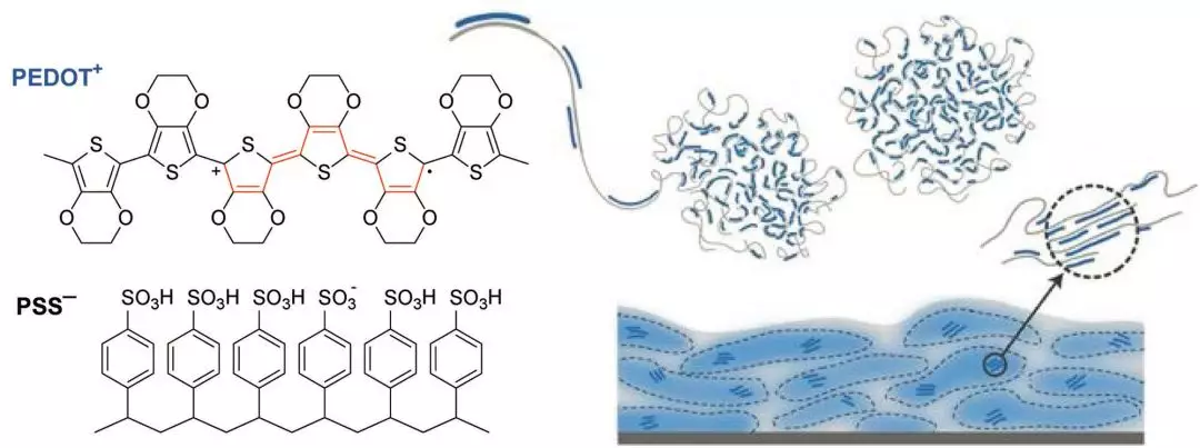 pedot和pedot:pss的微观结构和导电性