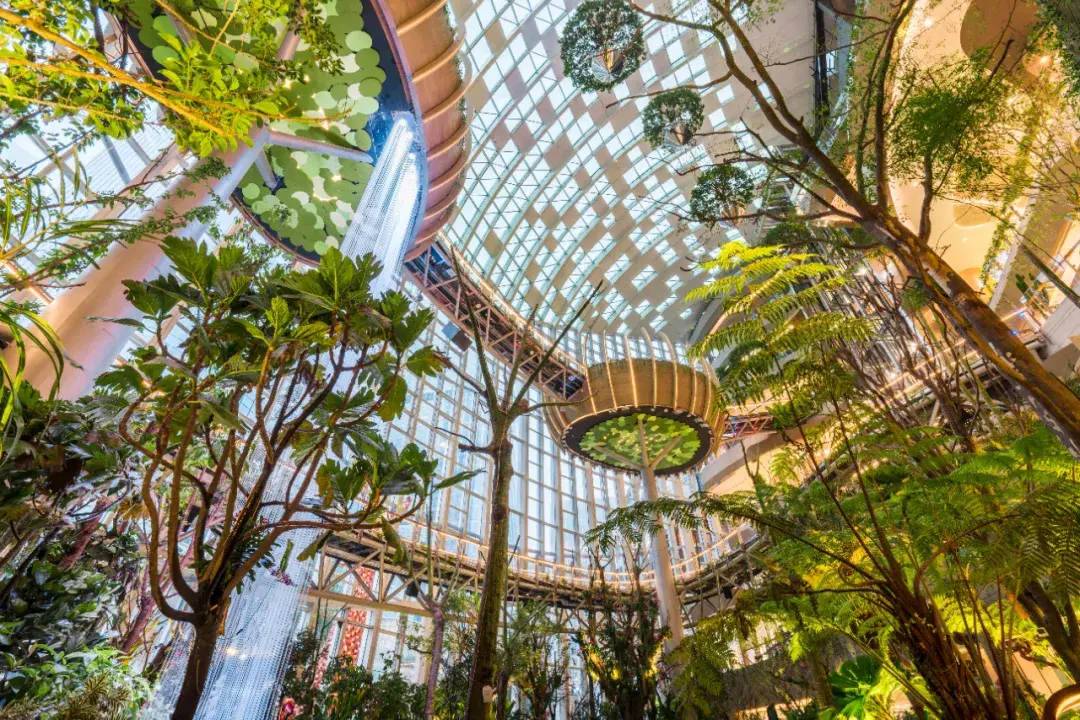 购物中心现象级火爆的绿色"室内公园",都是如何设计打造的? - 知乎