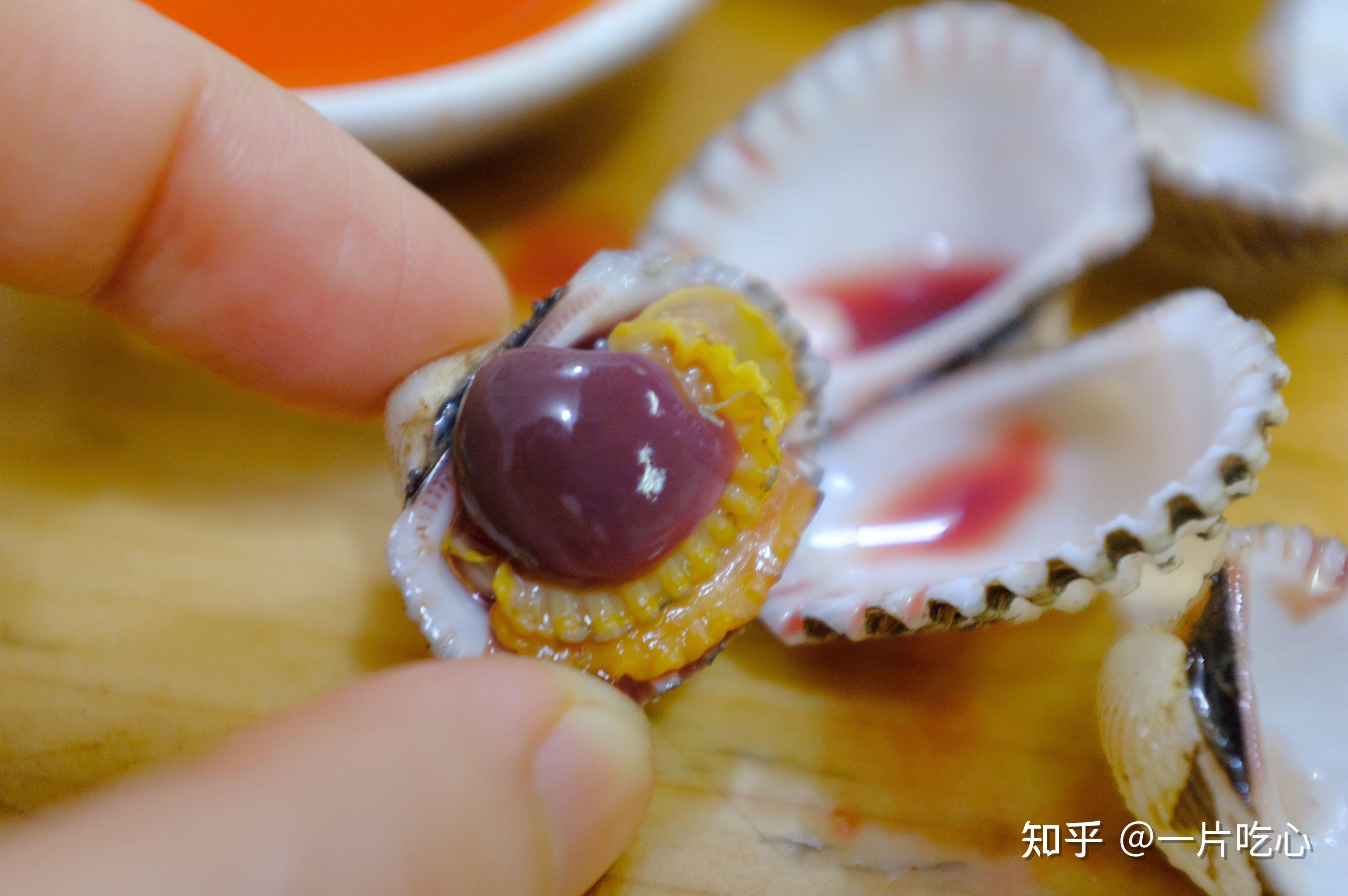 威海有种海鲜贝类叫毛蛤（毛蚶），味道鲜美，吃它需要点勇气_生活_菠菜_污染