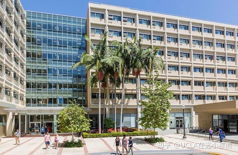 UCLA宿舍篇1 知乎