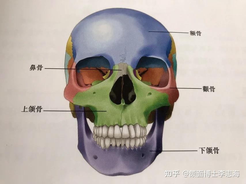 下颌角截骨削骨对一个人脸型改变有多大?
