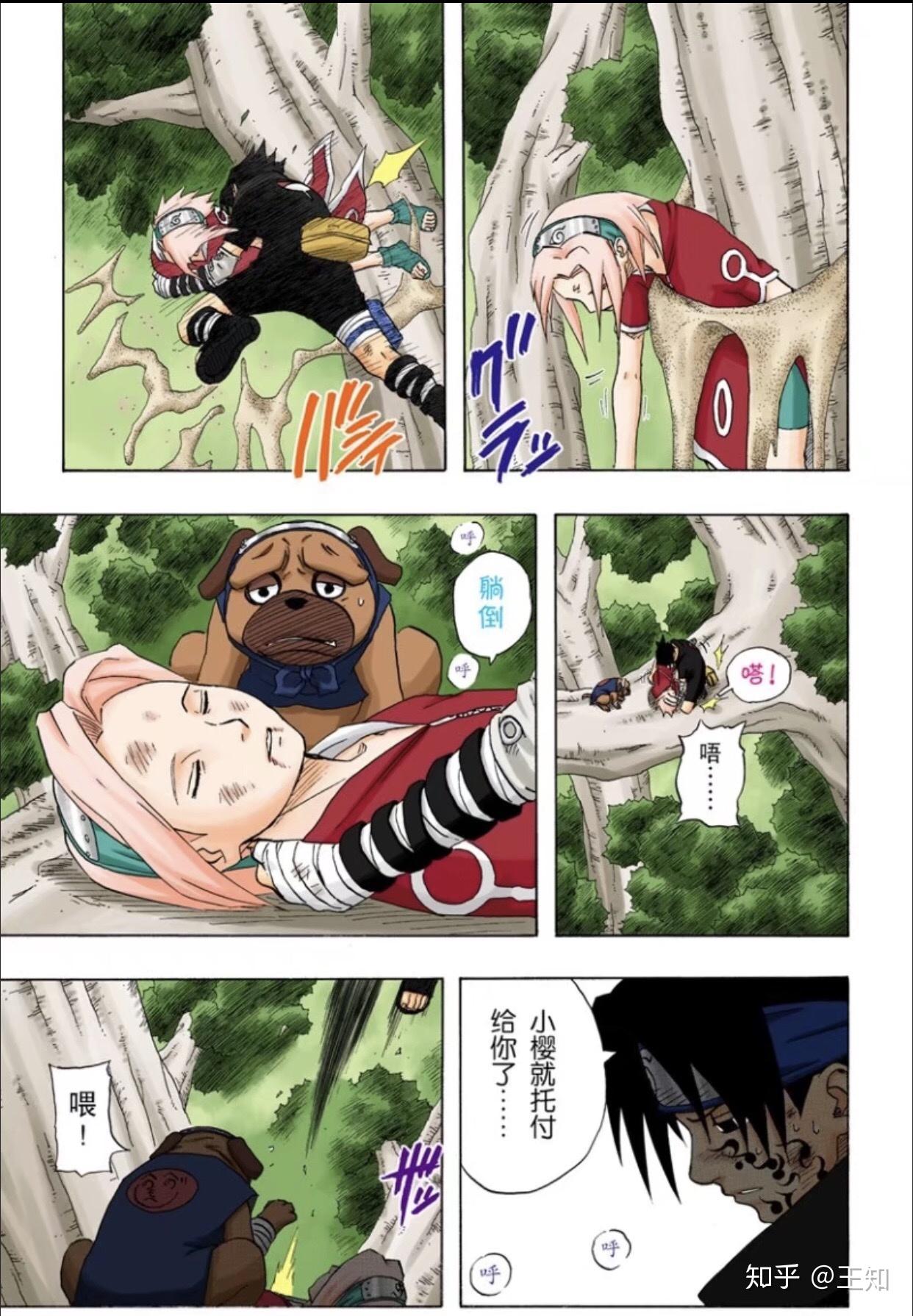 为什么佐助会娶小樱