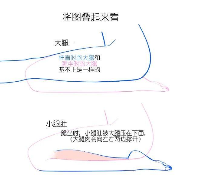 日本人跪坐方法图解图片