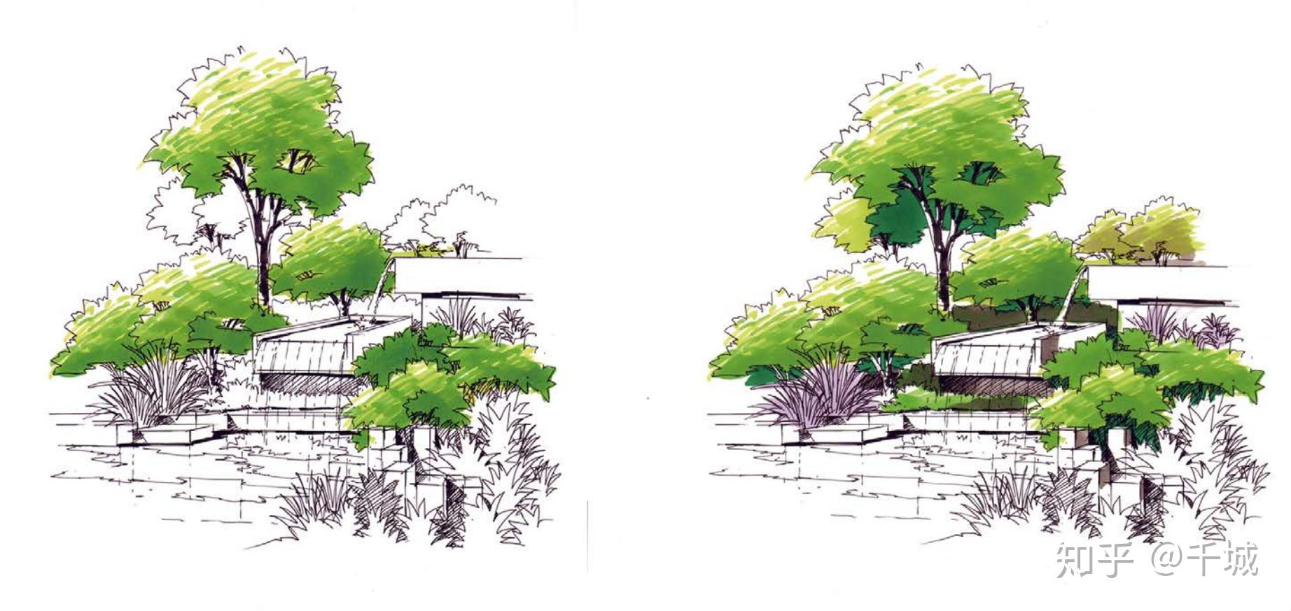 马克笔植物表现